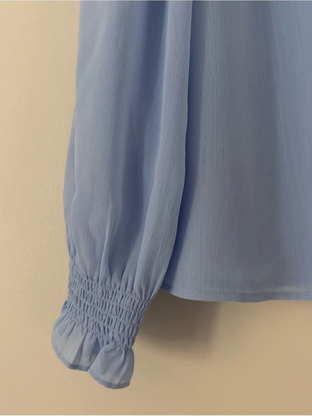 J. Crew Pale Blue Long-Sleeve Blouse